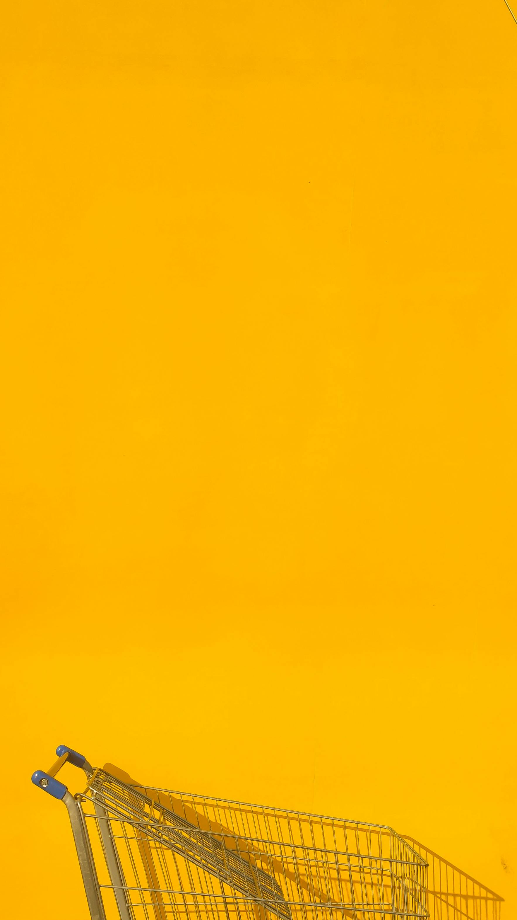 Single Image